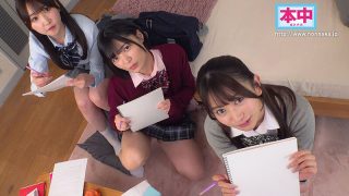hmn00889jp 4